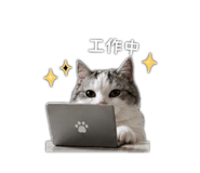 838765545