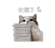 838765546
