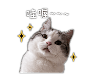 838765548