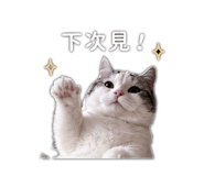 838765549