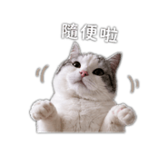 838765552