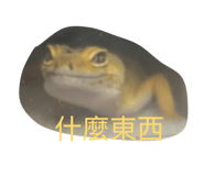 838766346
