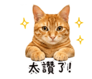 838766482