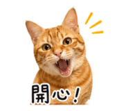 838766483