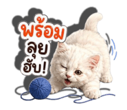 838768743