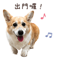 838769260