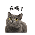838770199