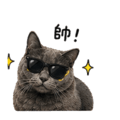 838770205