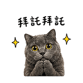 838770207