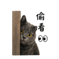 838770208