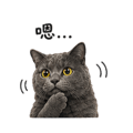 838770215
