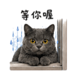 838770219