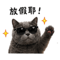 838770223