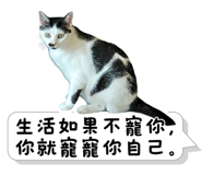 838770283