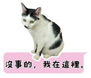 838770285
