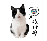 838770698