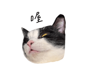 838770708