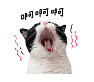 838770716