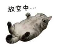 838771582
