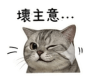 838771592