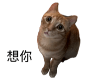 838771844