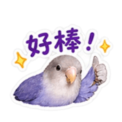 838772897