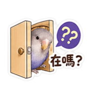 838772900