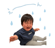 838775185