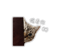 838775232
