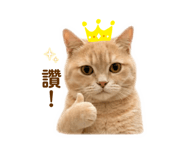 838775859