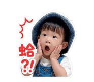 838777356