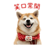 838777500