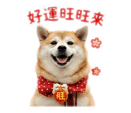 838777501