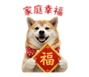 838777503