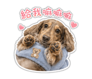 838777645