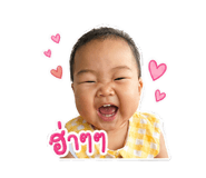 838779146