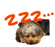 838781466