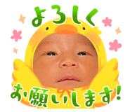 838781630