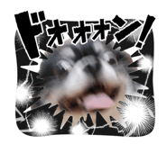 838781746