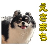 838781753