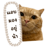 838781793