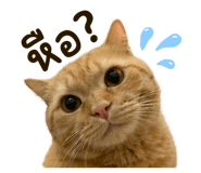 838781797