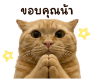 838781800