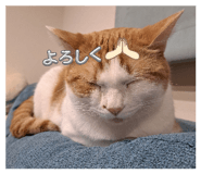 838782035