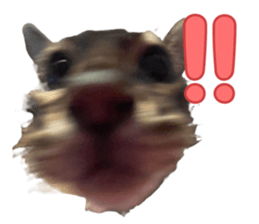 838782070