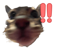 838782070