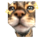 838782080