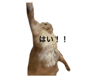 838782530