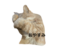 838782531