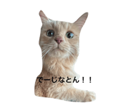 838782534